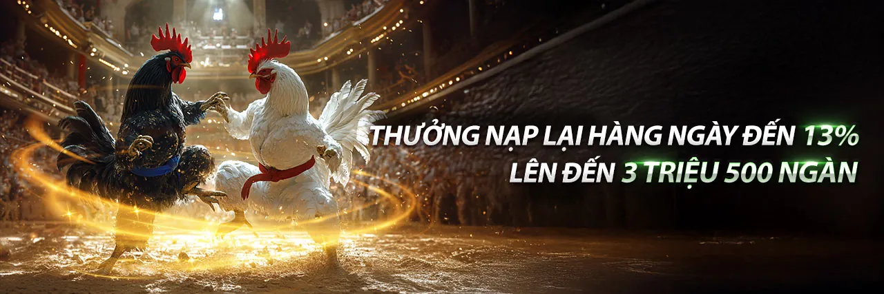 Đá Gà Thomo 18/8/2024 Trực Tiếp